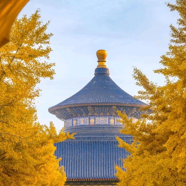 康康老师讲知识2