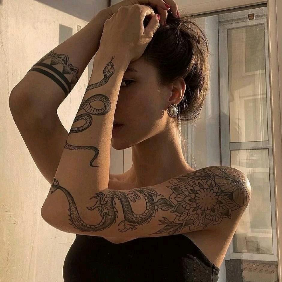 毛豆（学习中）