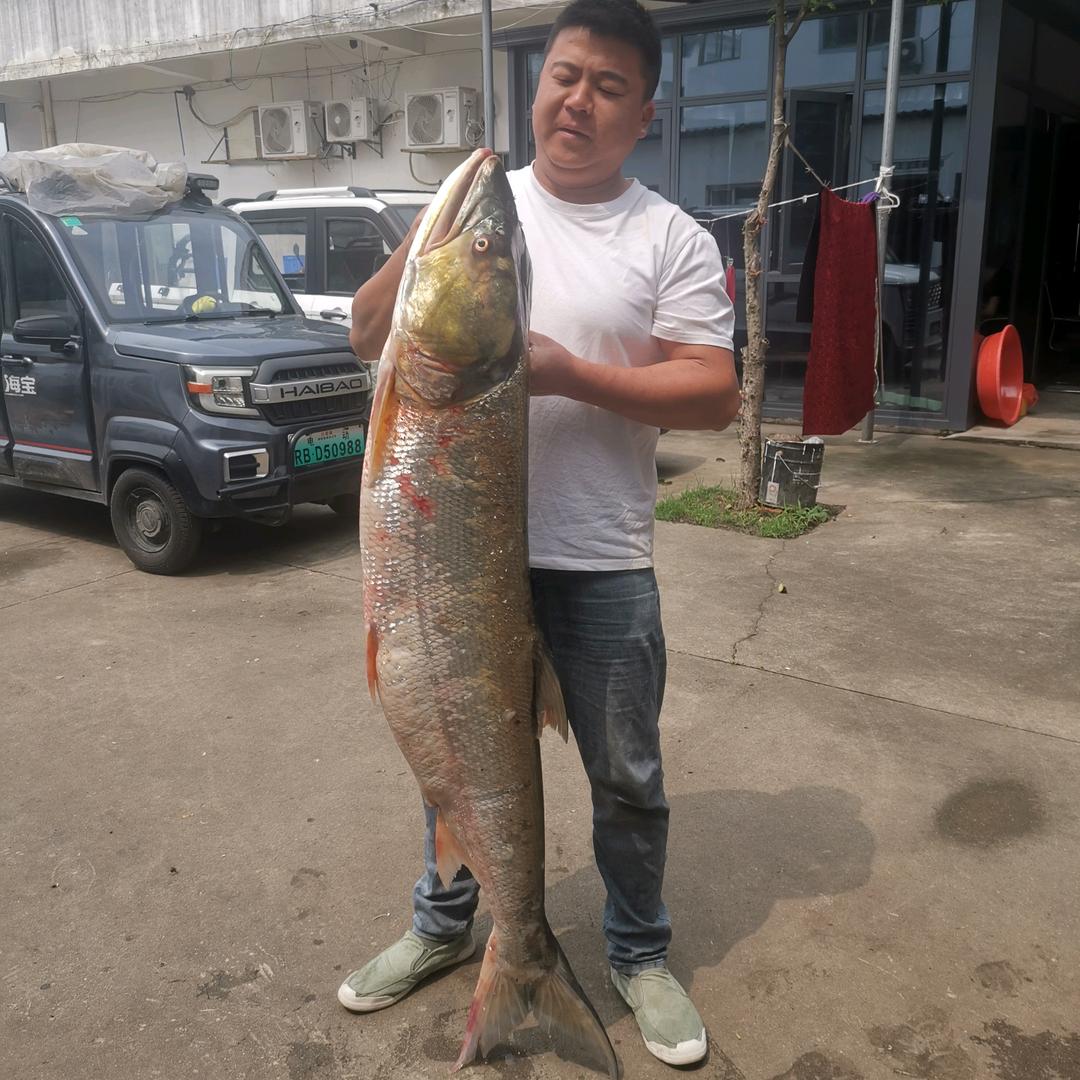 重启人生