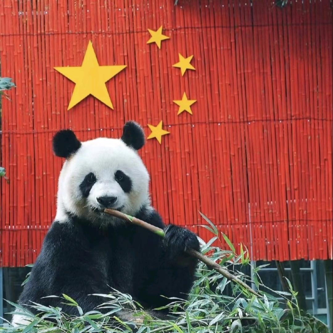 小太阳.