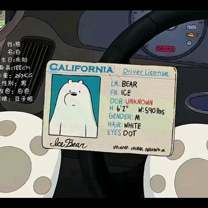 ICE BEAR