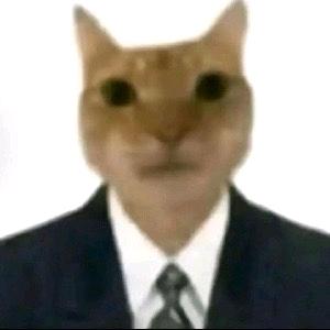 云雾