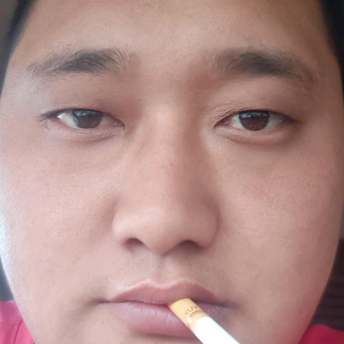 安金刘成