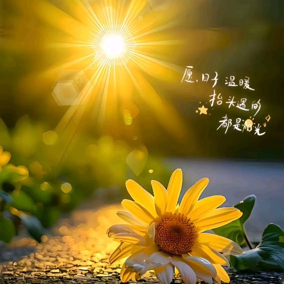 @💫幸运相随 💞