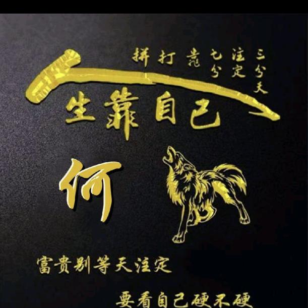 何      先        生