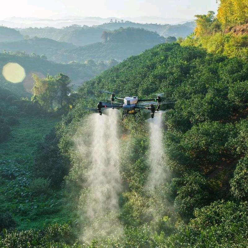 玩飞机的小陈哥
