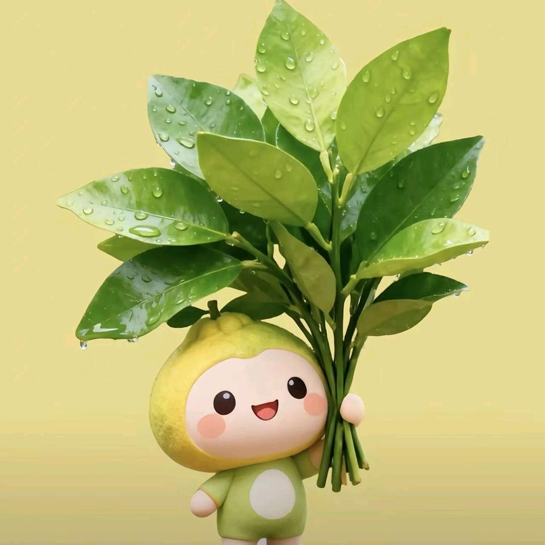 温馨的家