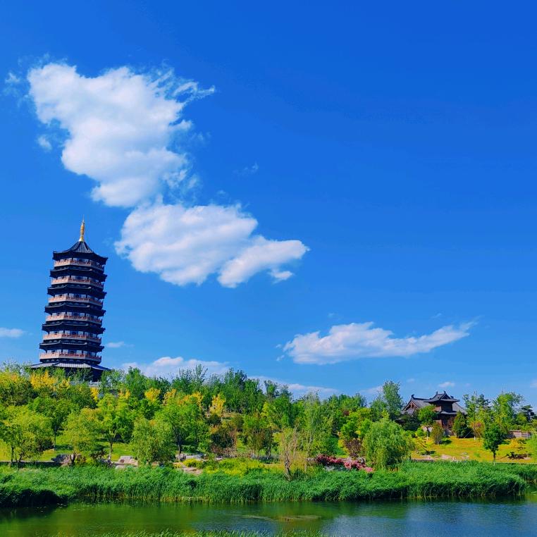 fó系小李