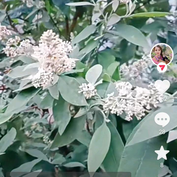 随缘