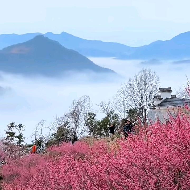 风雨粮油(岳)