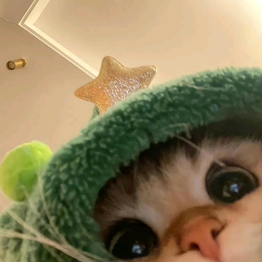 星野兔