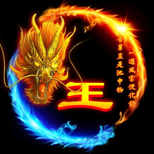 创意小铺子518（好物在橱窗）