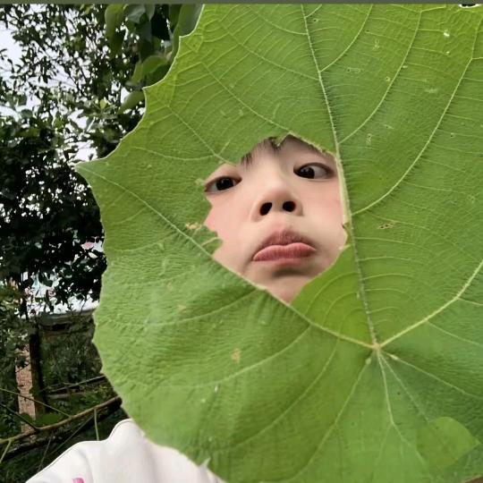 蜡笔小新