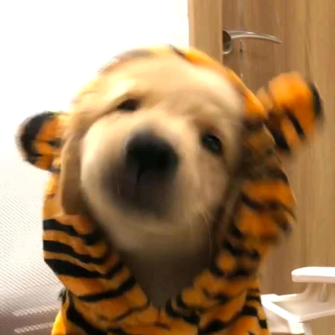 彻夜