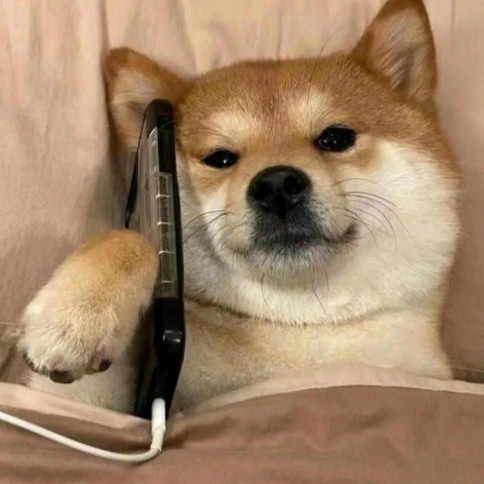 歪歪宝