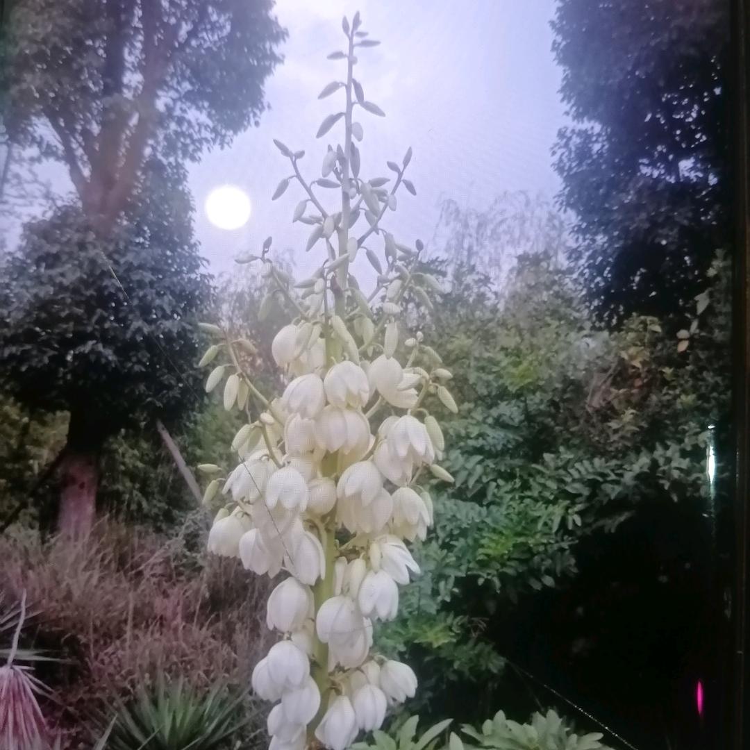 怏乐一生芬