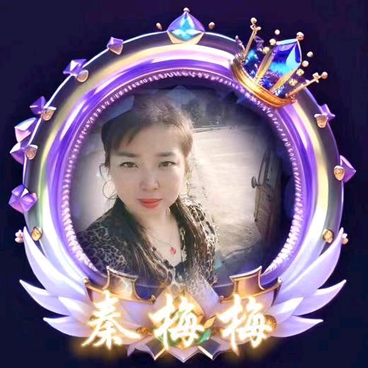秦梅梅¹²²³🎙