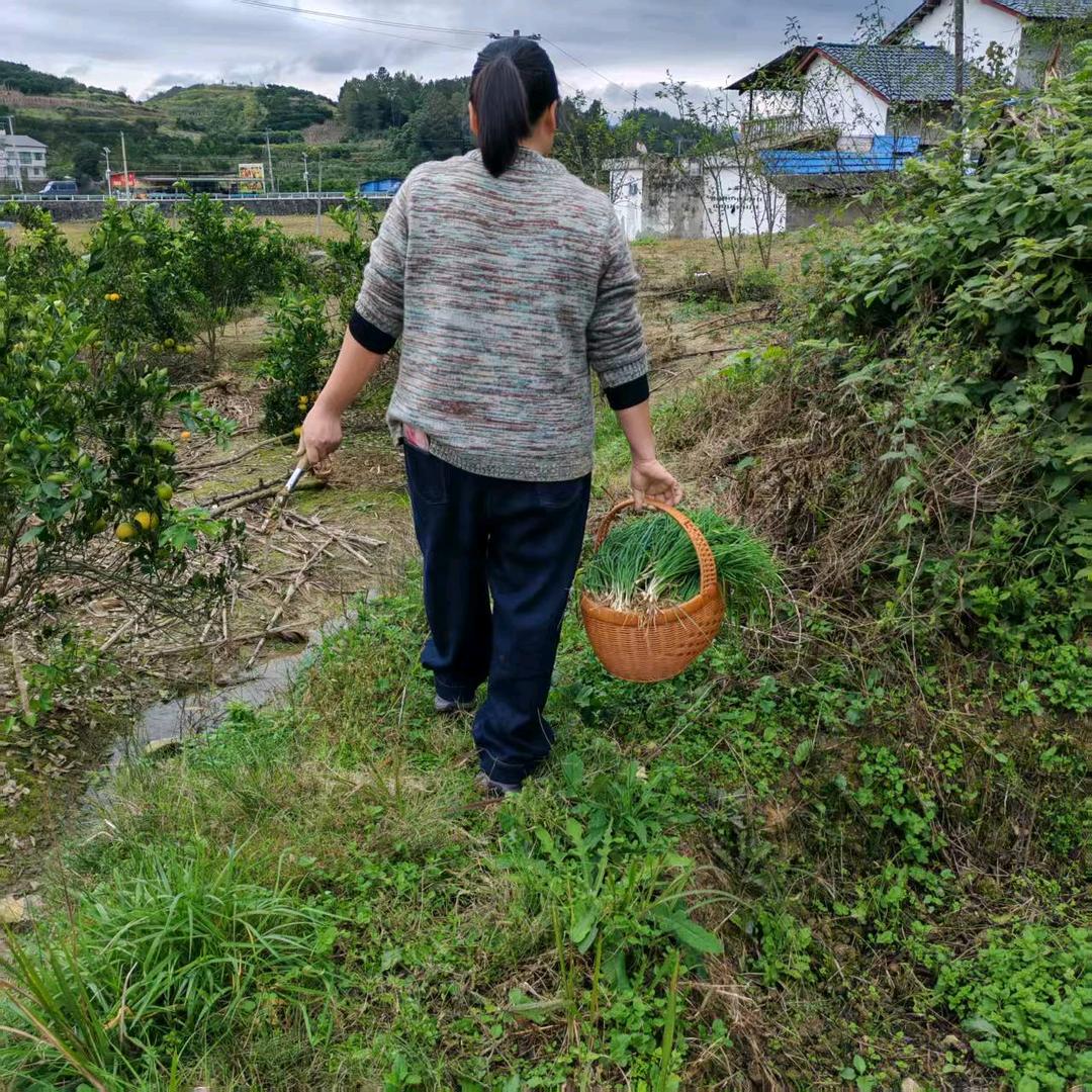 🐹¹².₀₈㞮孞