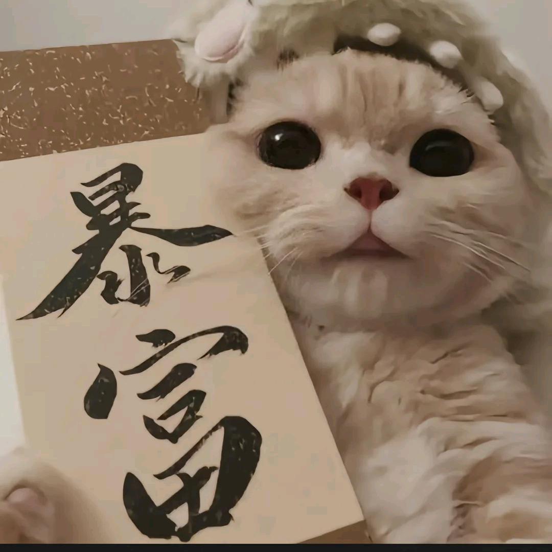 阿杜的招财猫。