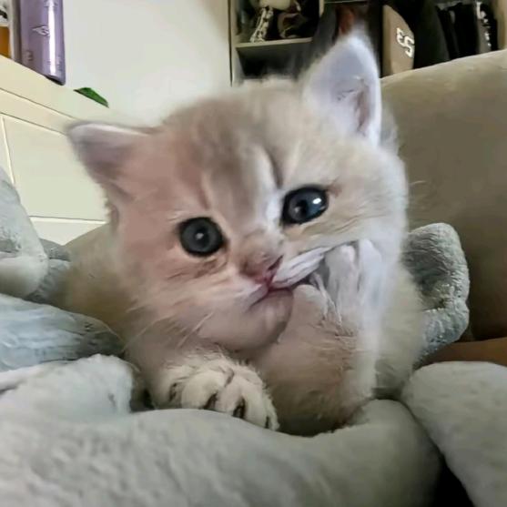 零一秒
