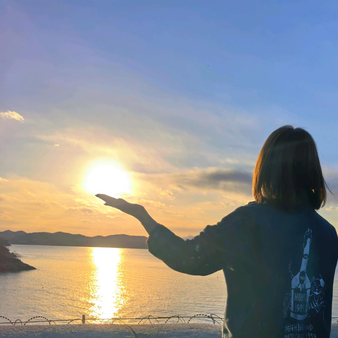 菲宇
