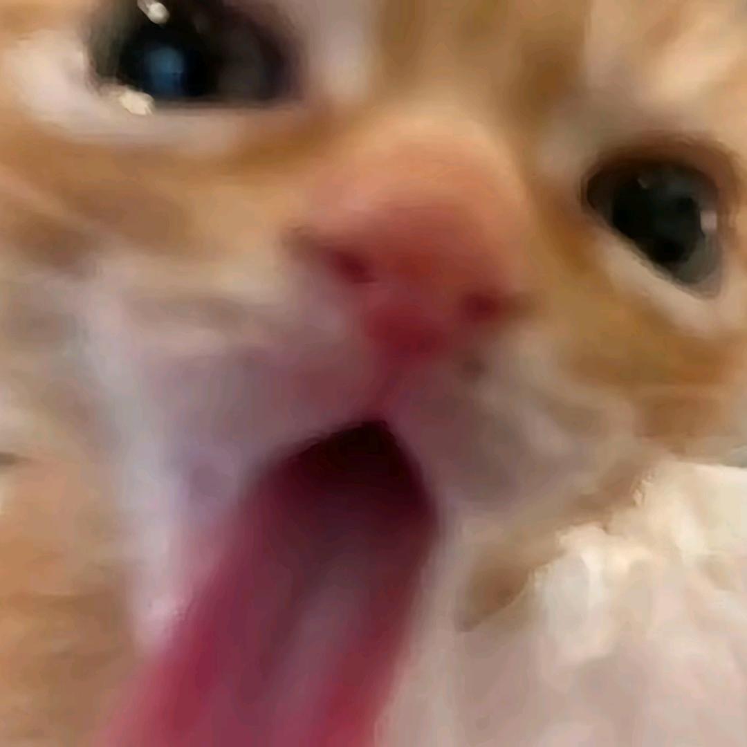哈～哈