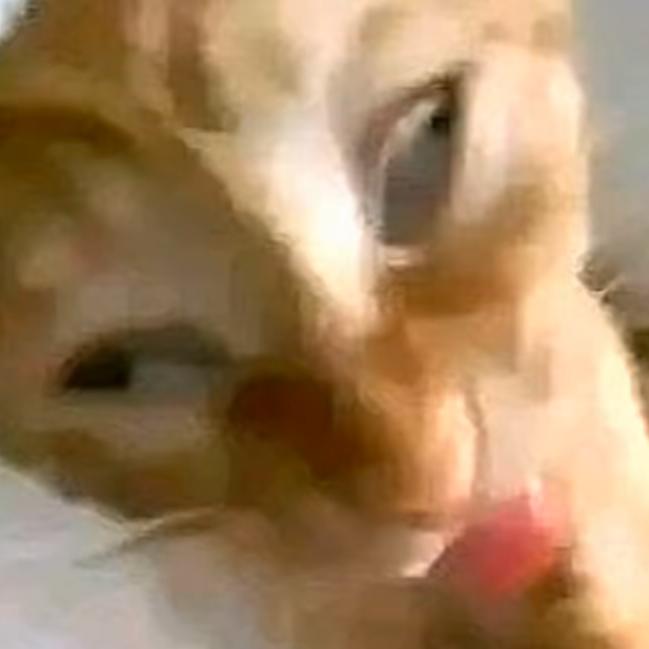 老八和小八一起寻欢作乐