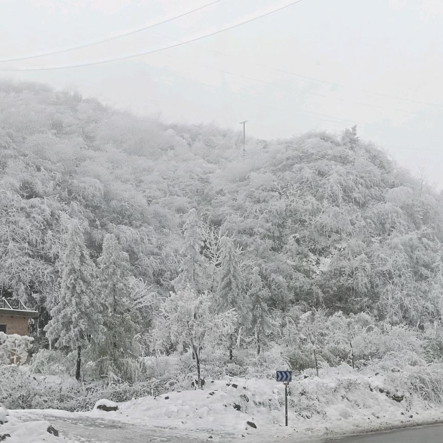 ꧁༺可乐༒冰༻꧂