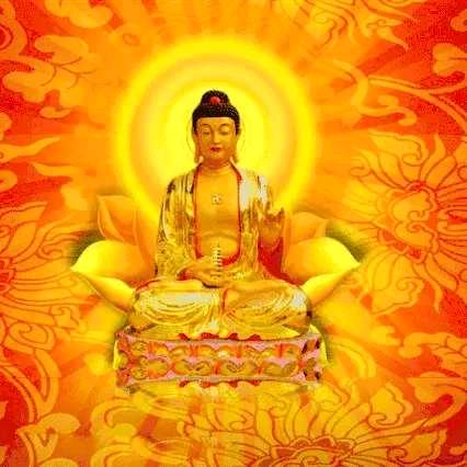 🐕我只在乎您🐕