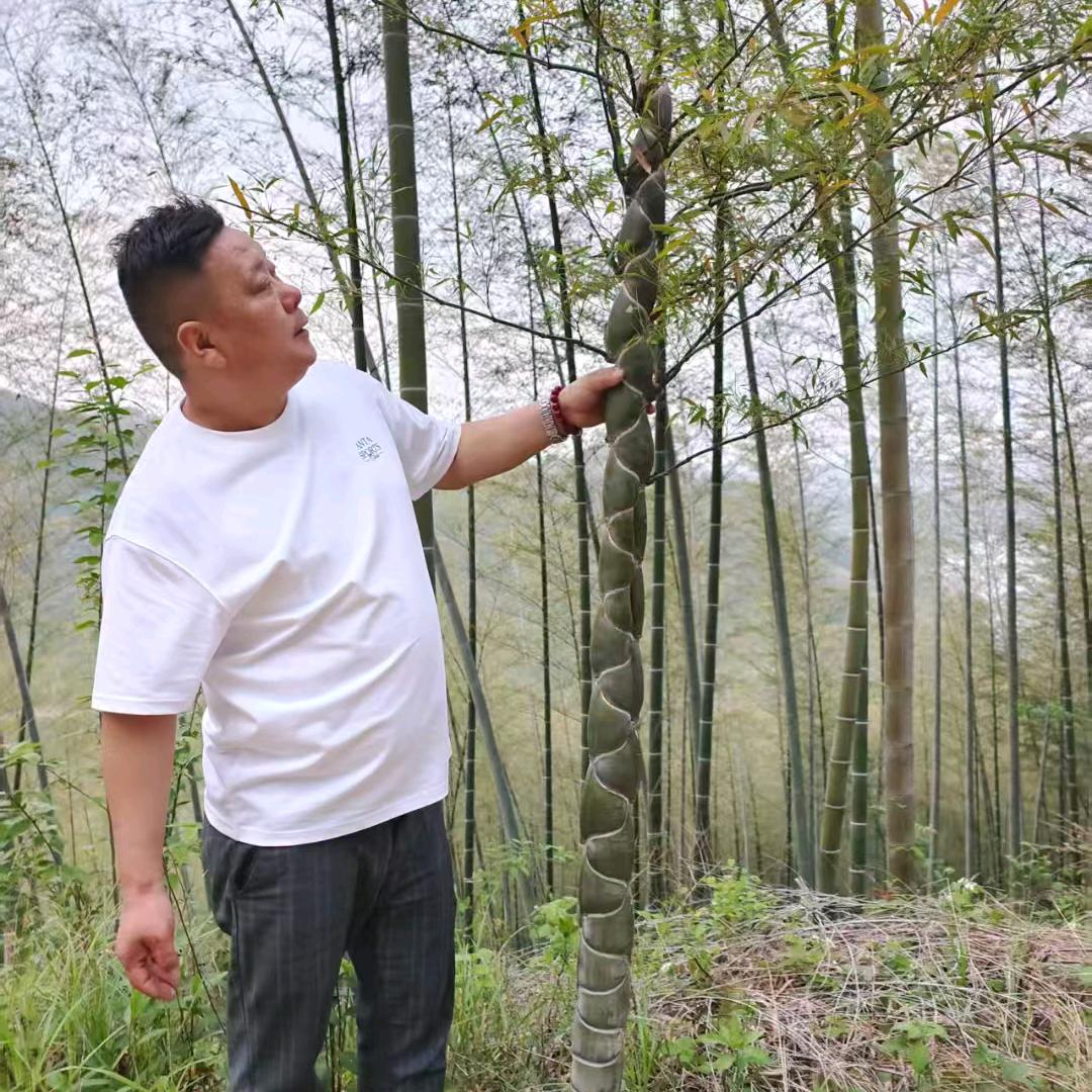 家丰园林