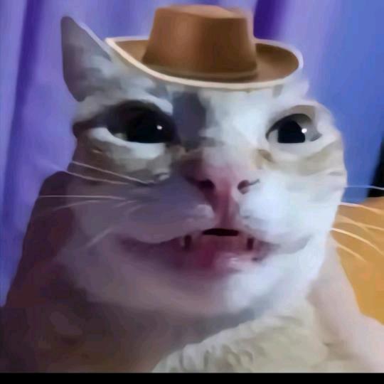 来杯苦中作乐x.