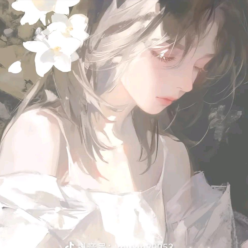 木木羊