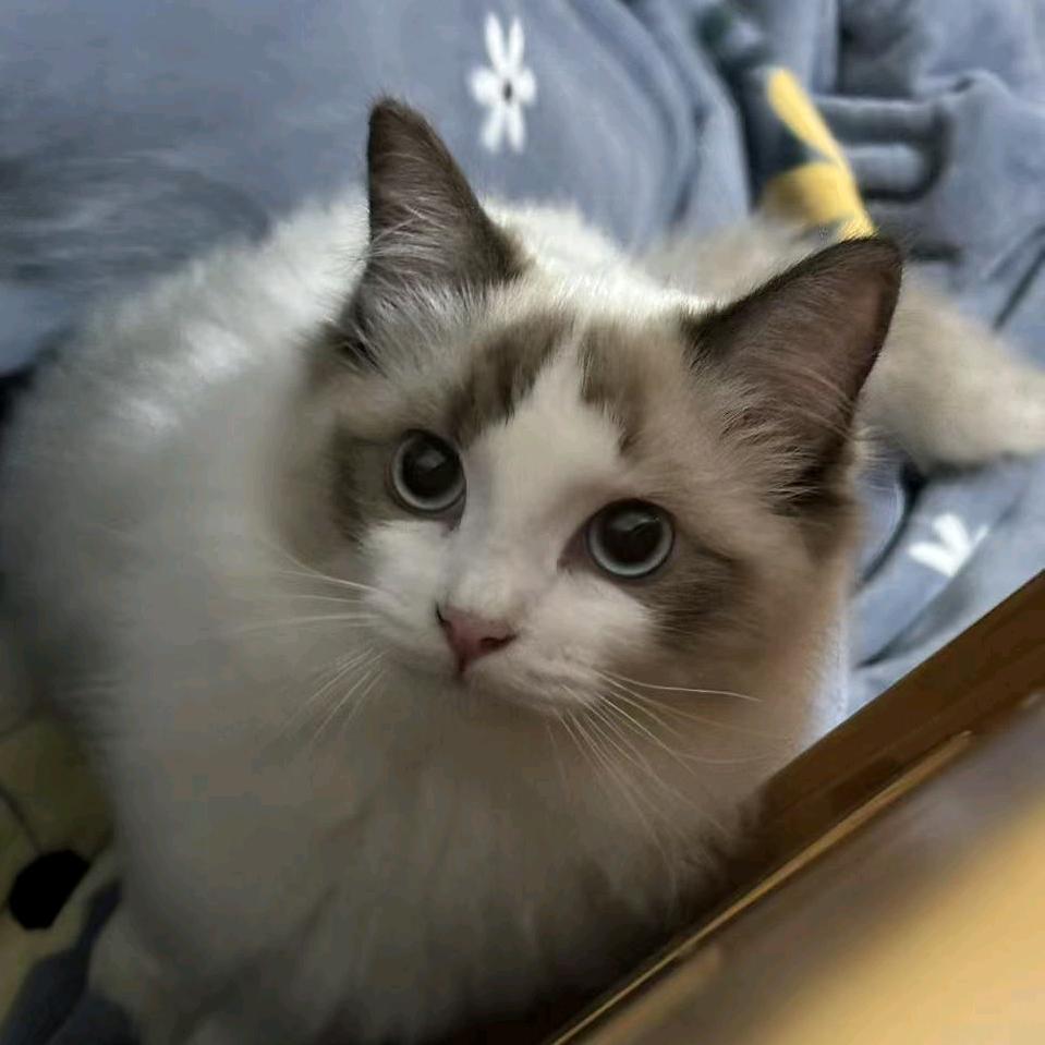 魃魈魁鬾魑魅魍魉