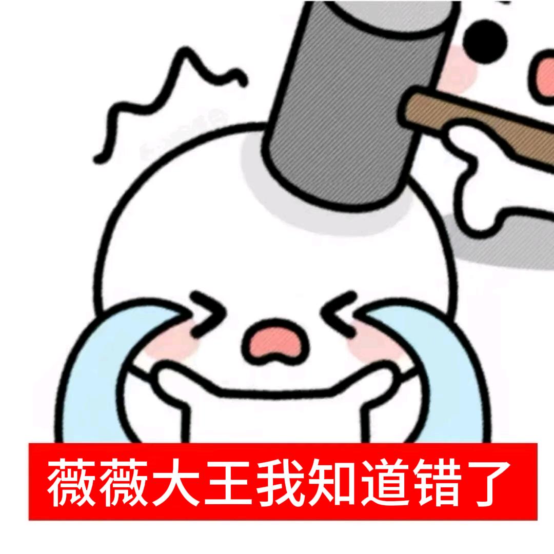 薇薇是当天才的料