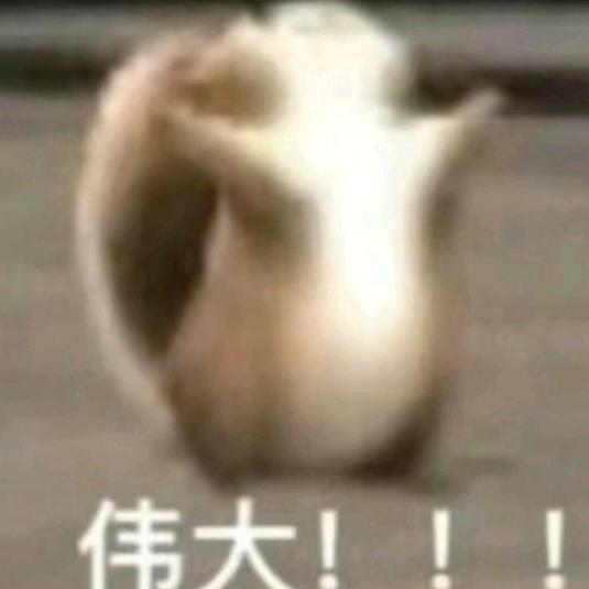 肆。。