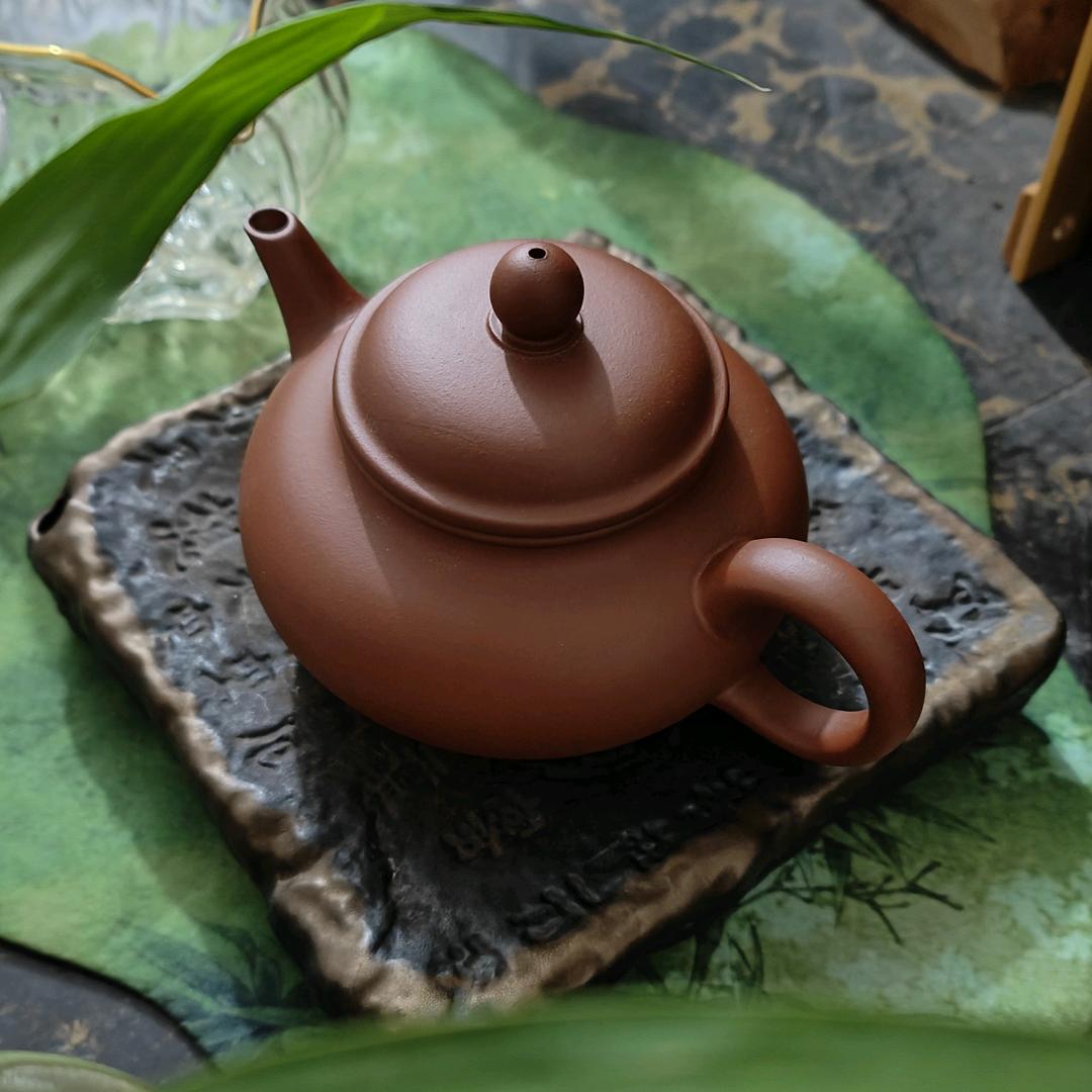 金萱雪浪斋
