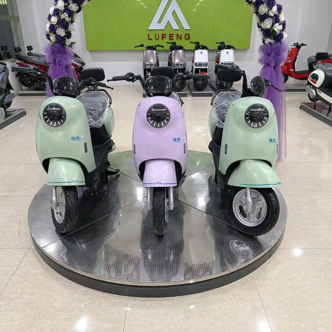 乐安绿风电动车步步先休闲三轮车