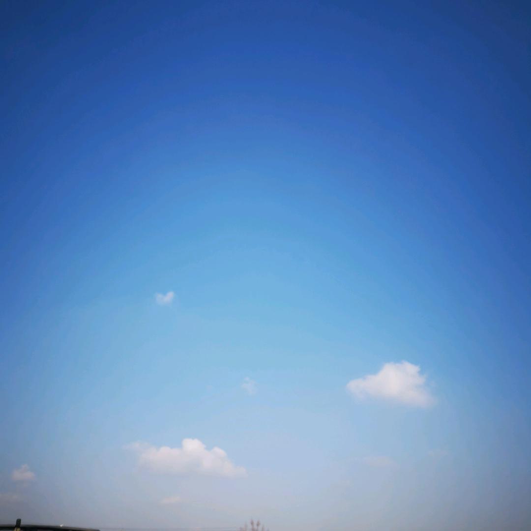 承蒙厚爱