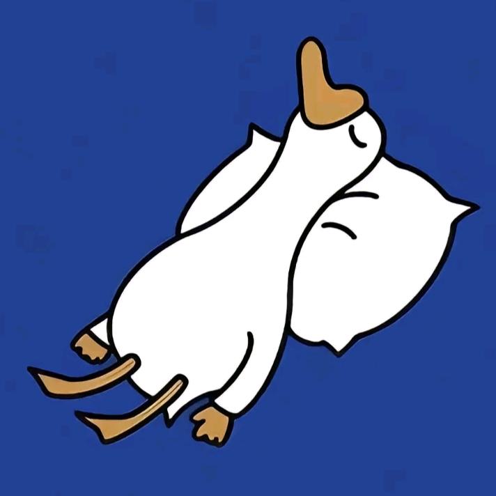失眠梦