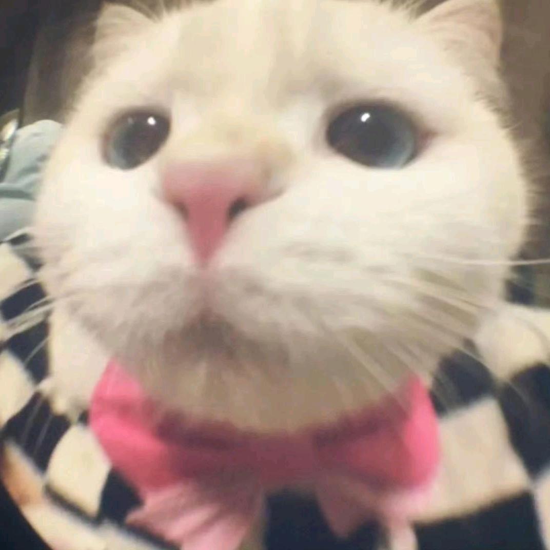 小桃