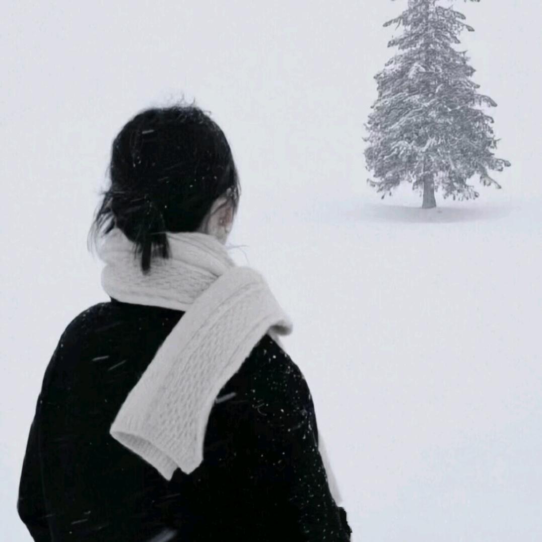 ₍ᐢ..ᐢ₎ ִִ