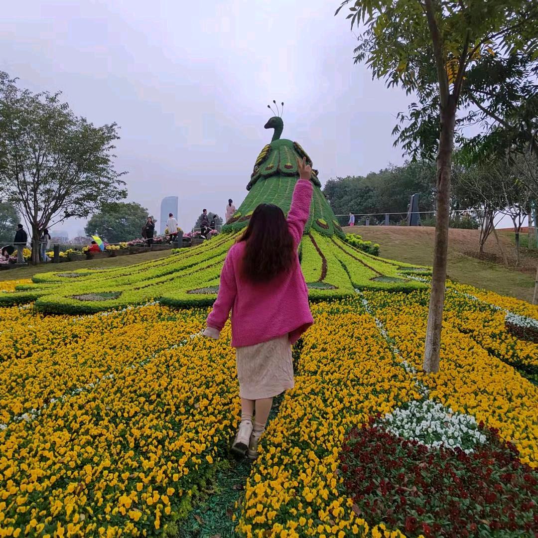 紫色风玲(在等我的至尊宝踩着祥云来)