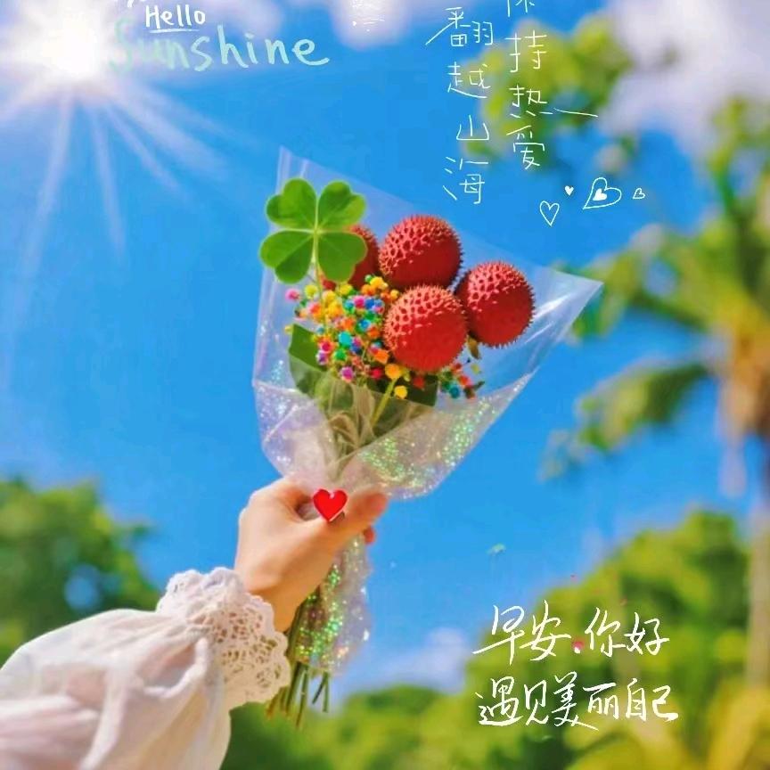思凡 521