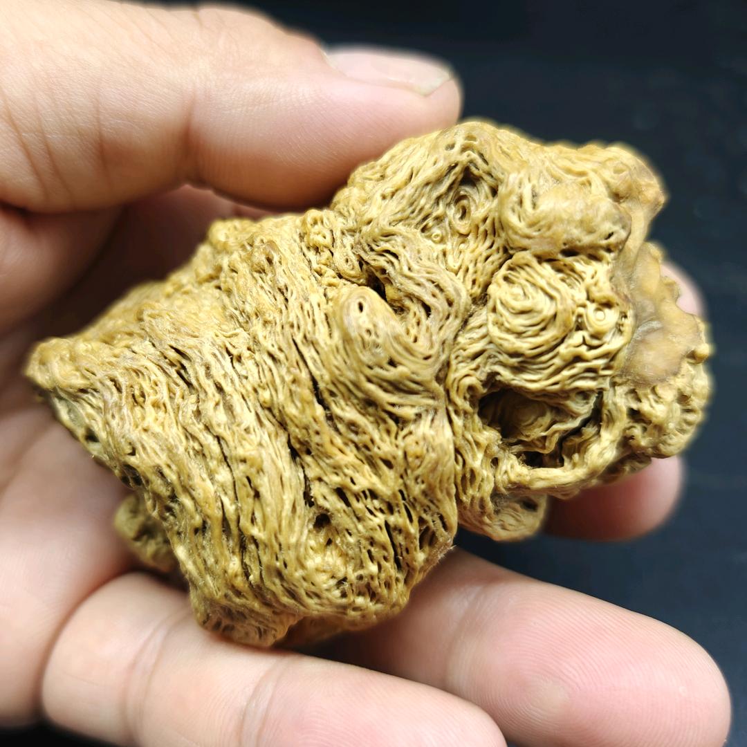 降龙木根艺