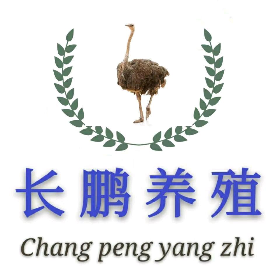 长鹏养殖孵化