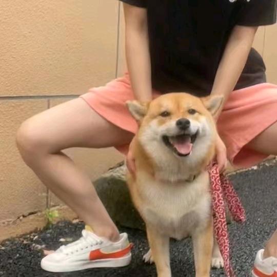 Tao