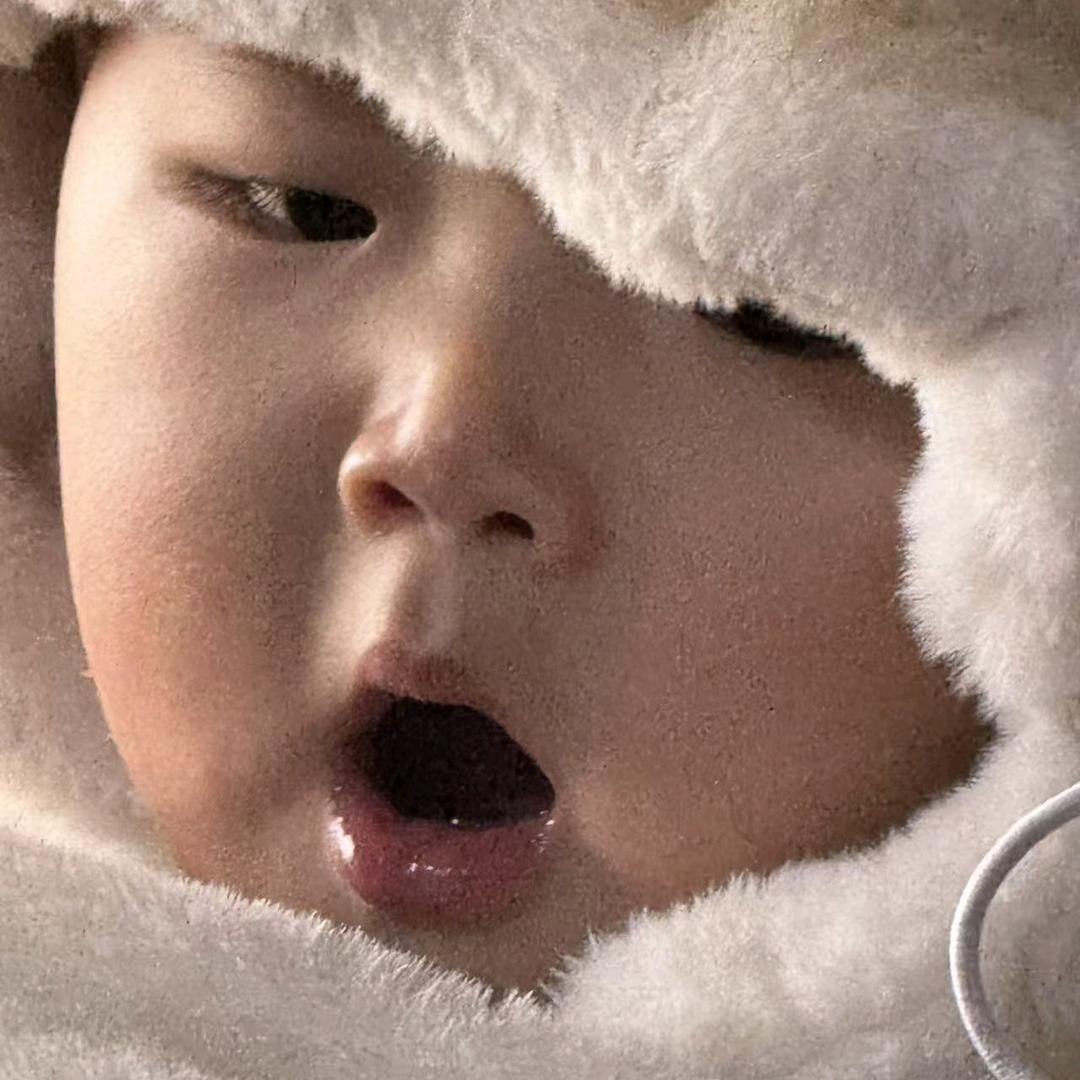 藏•藏