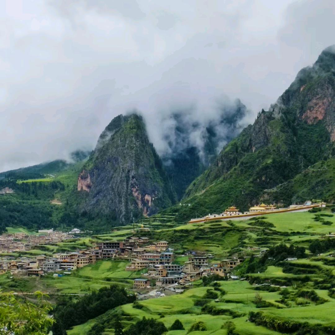 小李（金铲铲）