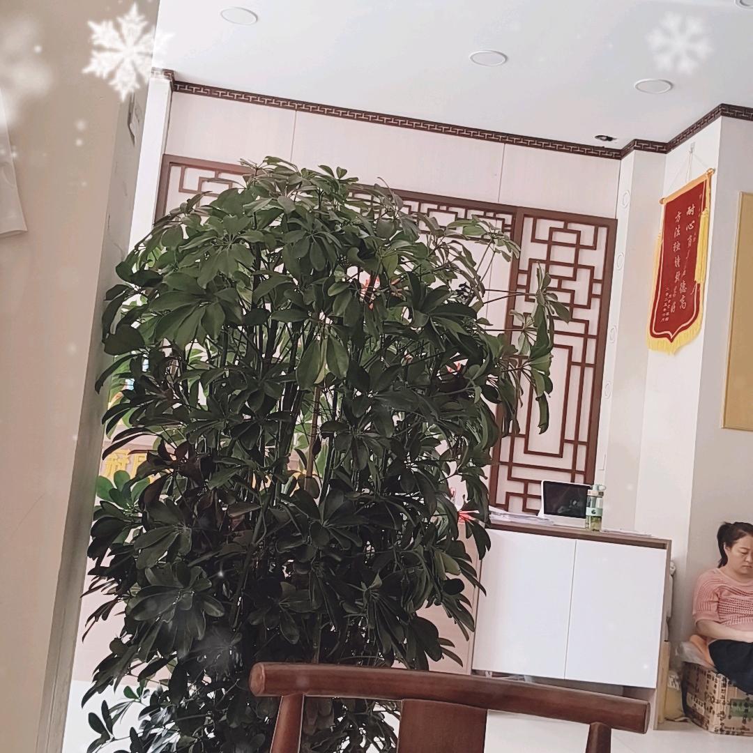 莉莉吖