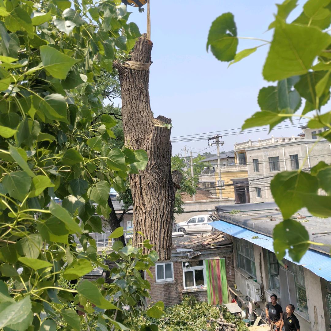 北京鹏兴恒达园林绿化工程技术有限公司